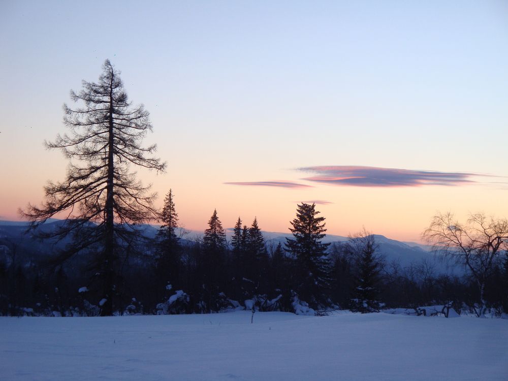 Photograph by Анастасия