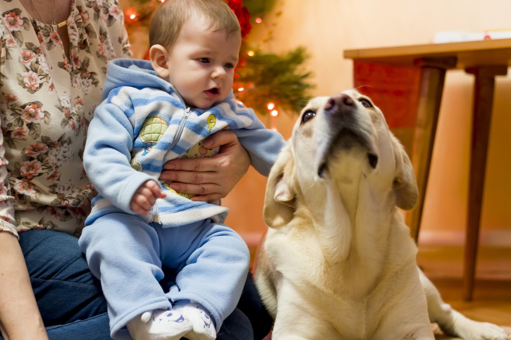 Знакомство