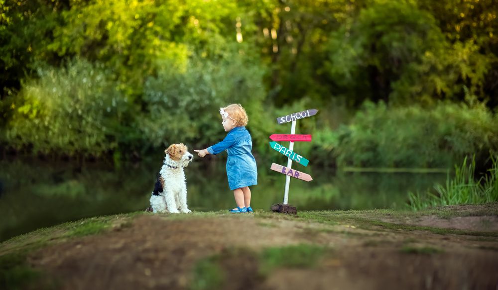 Лучшие друзья