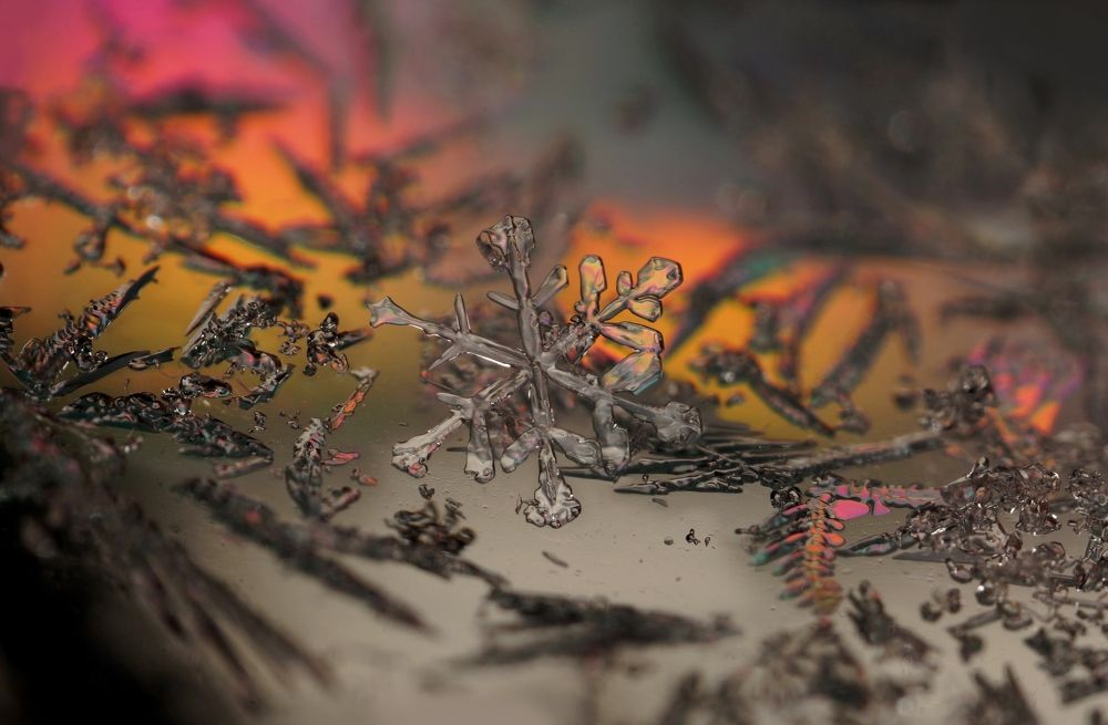 В царстве льда