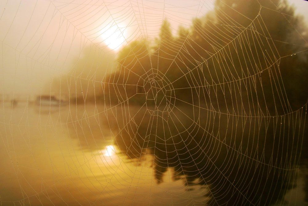 Глядят с любопытством на нас чудеса