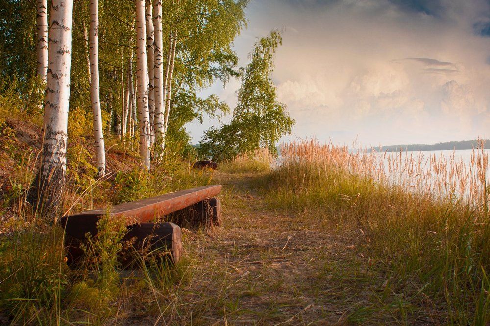 Теплый летний день