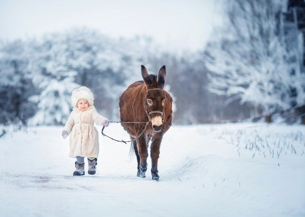 Маюшка и ослик