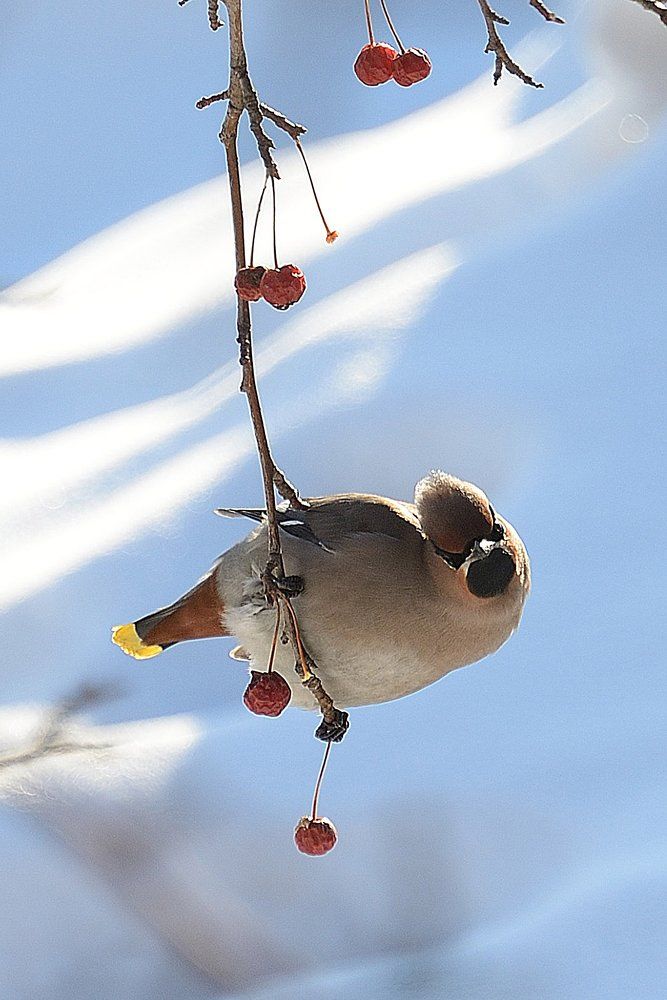 Photograph by Владимир Малевич