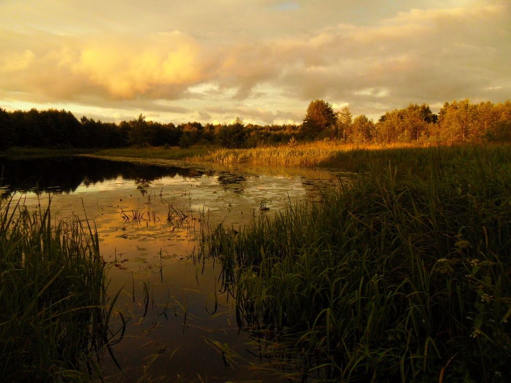 Неманские вечера
