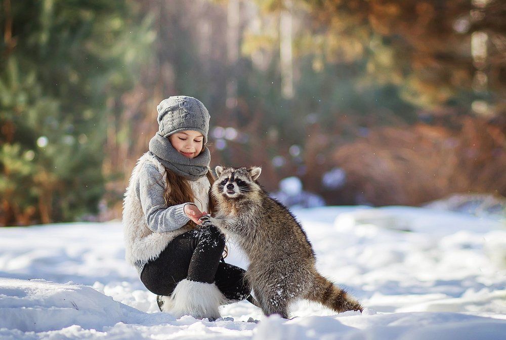 С енотом Боликом одним солнечным днем