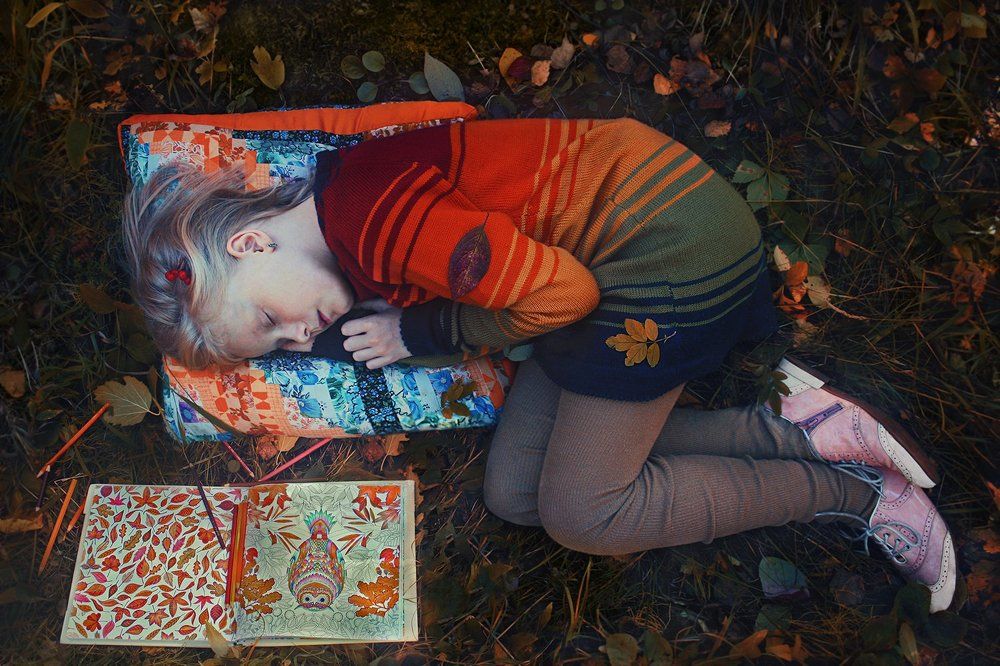 Заколдованный лес