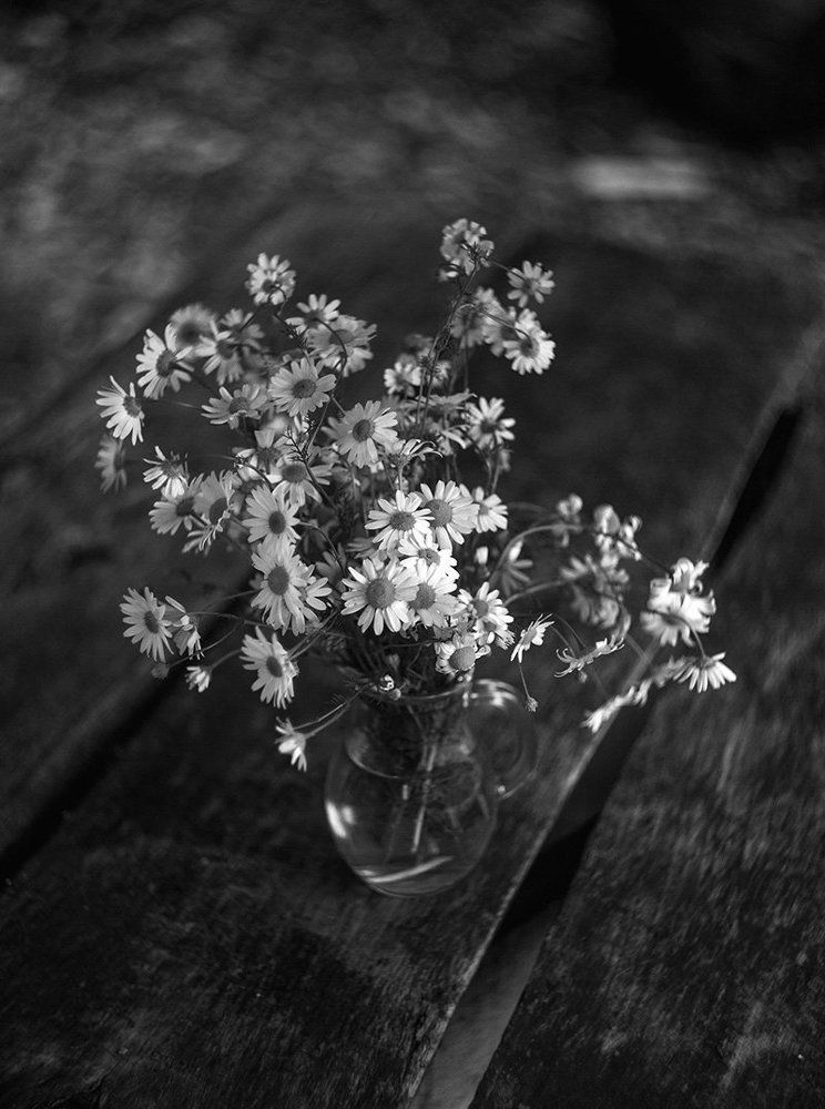 Сельские мотивы