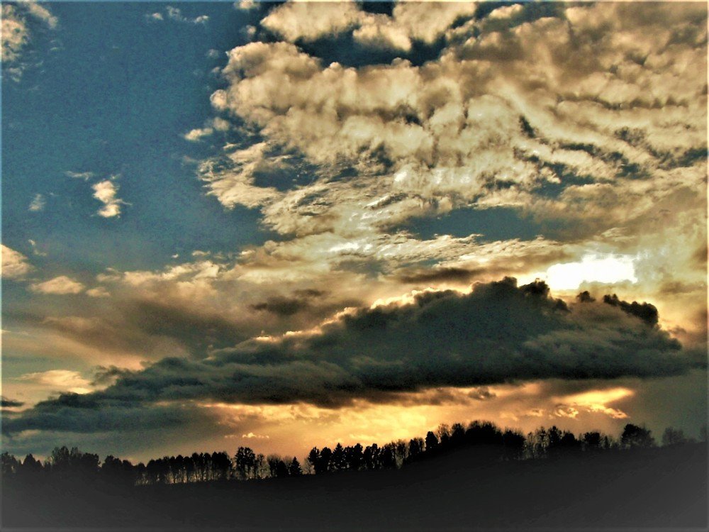 Метаморфозы природы