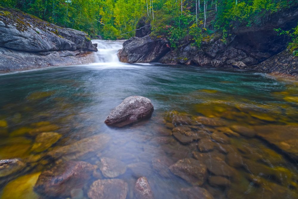 Лесная гавань