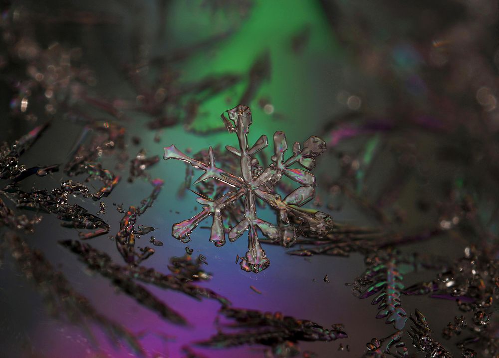 В ледяном царстве