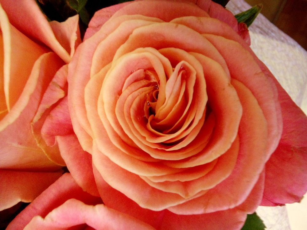 Красота рядом, стоит только заметить