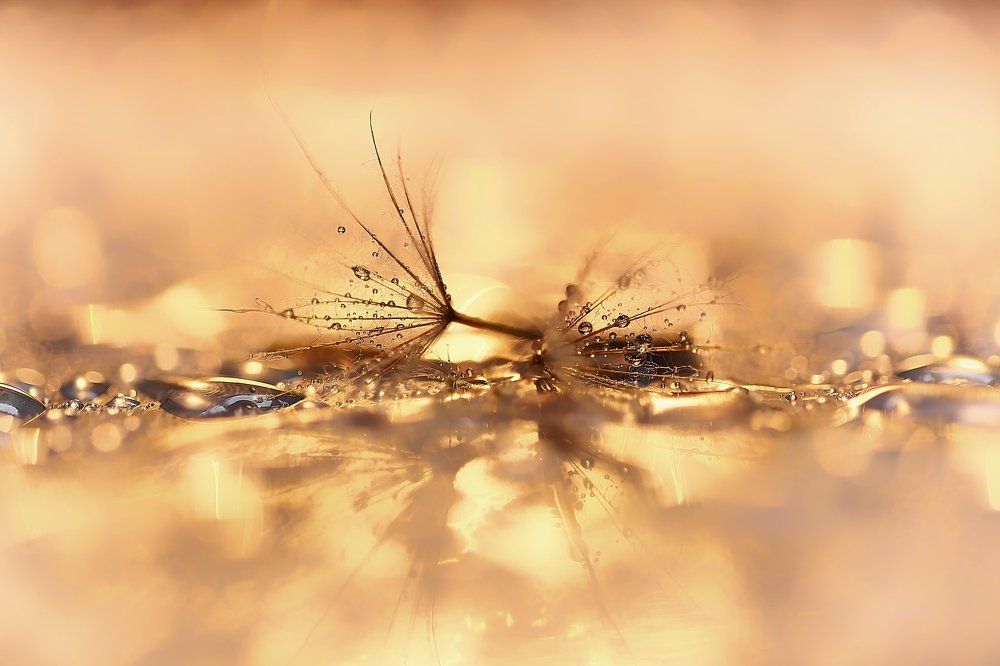 Photograph by Юлия Войнич