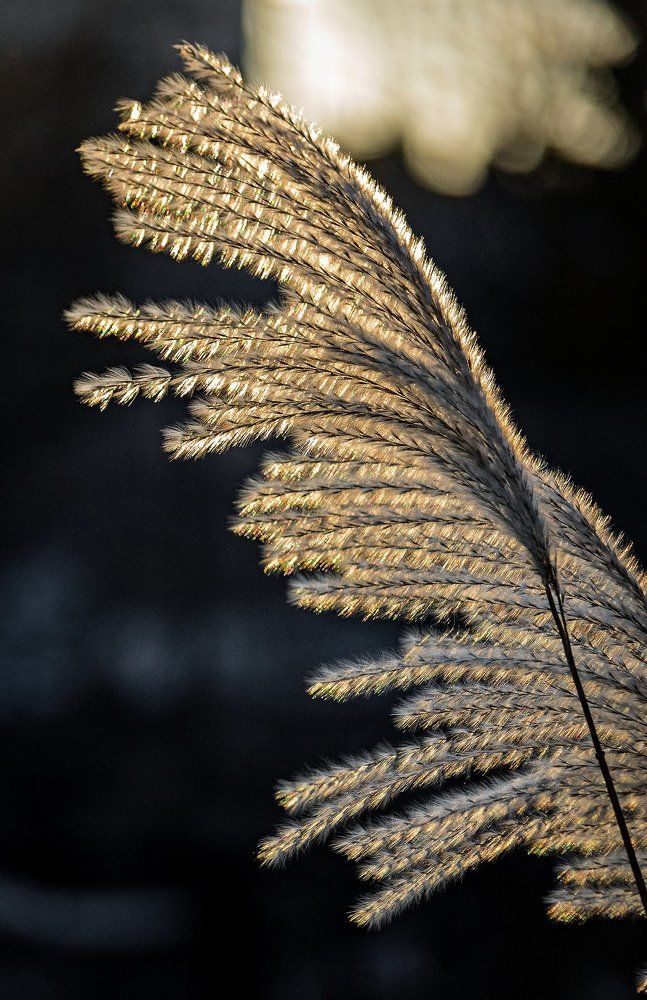 Photograph by 