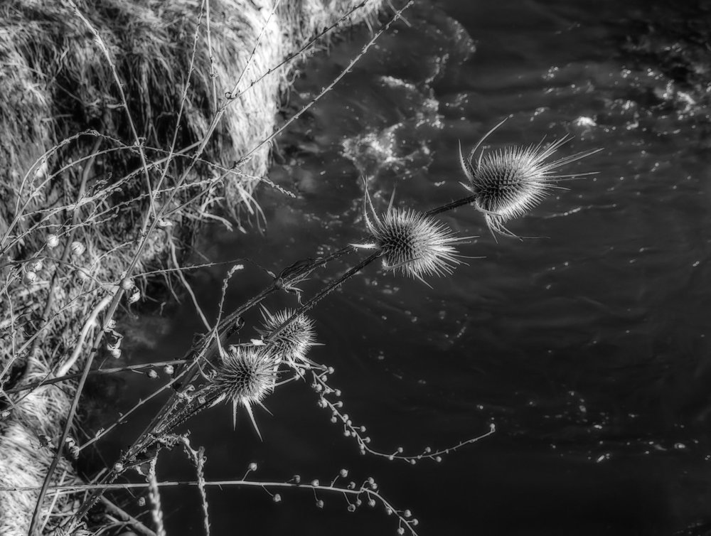 Photograph by Данил Мандрыгин