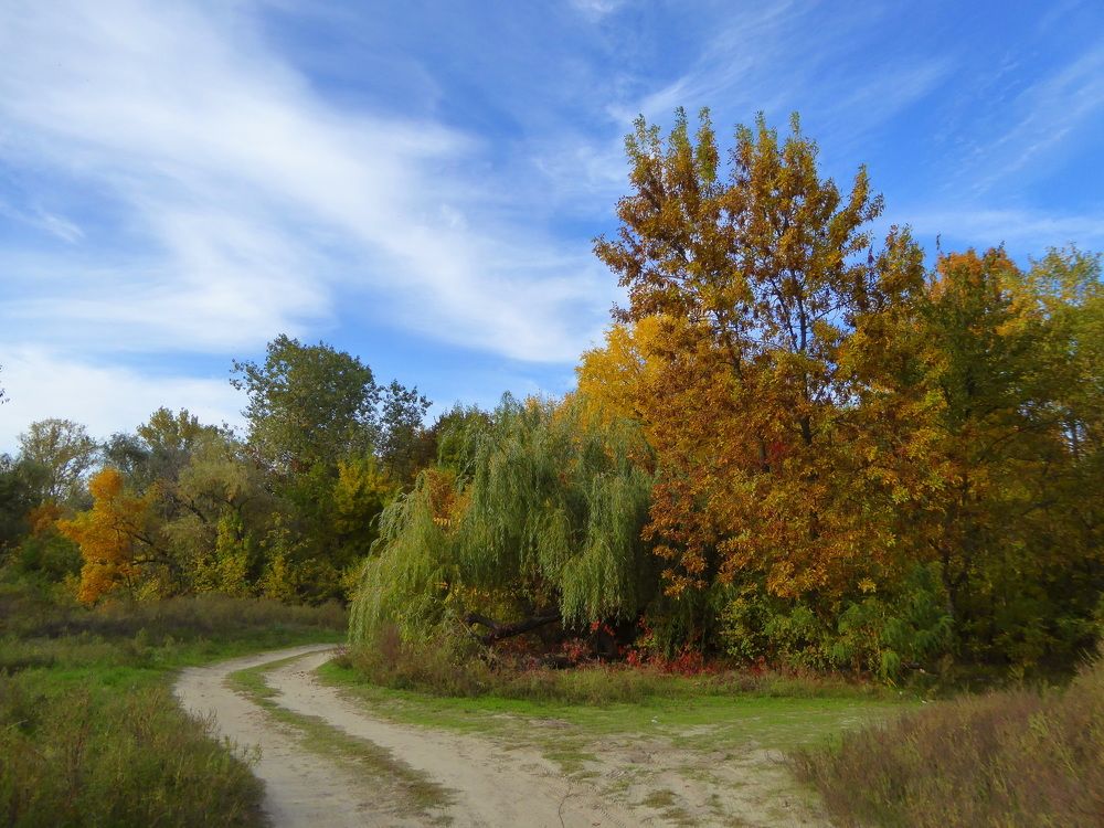 Осень на Зелёном острове.