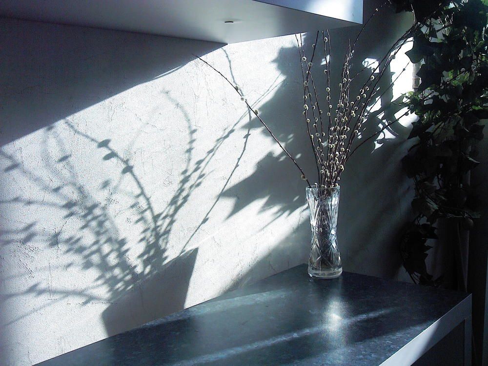 Натюрморт с тенью