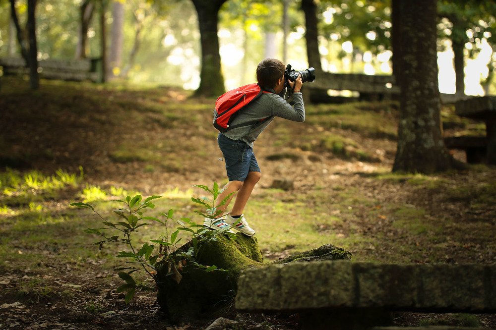 Fotografiando el Bosque