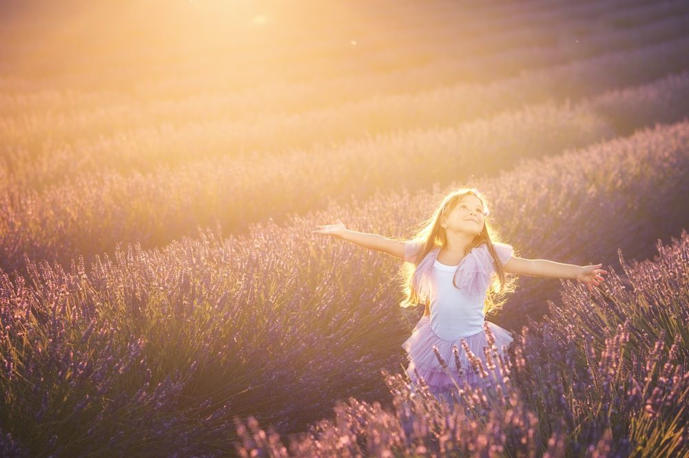 Лавандовый вечер