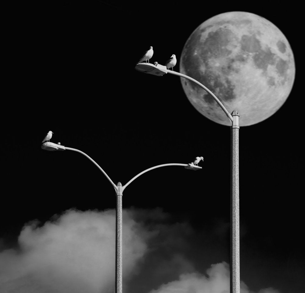 В тесноте, да не в обиде