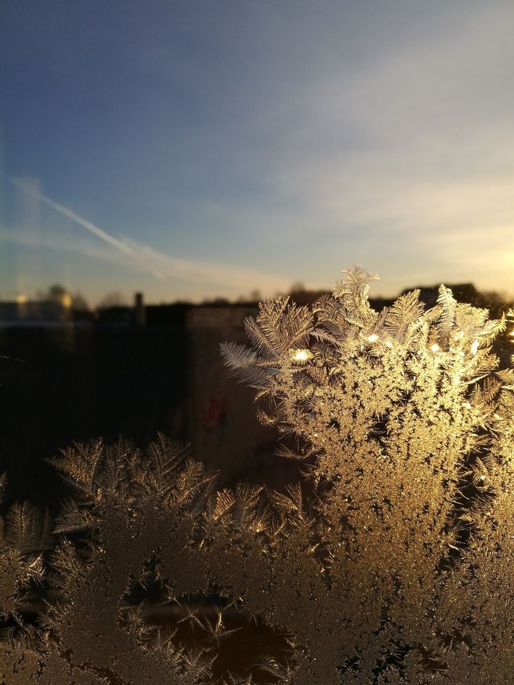 Photo #1671409