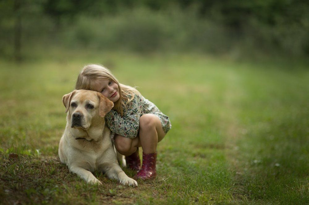 Лучшие друзья..