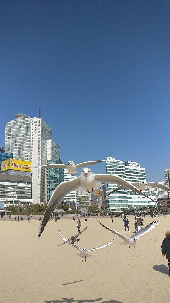 Photo #1671660