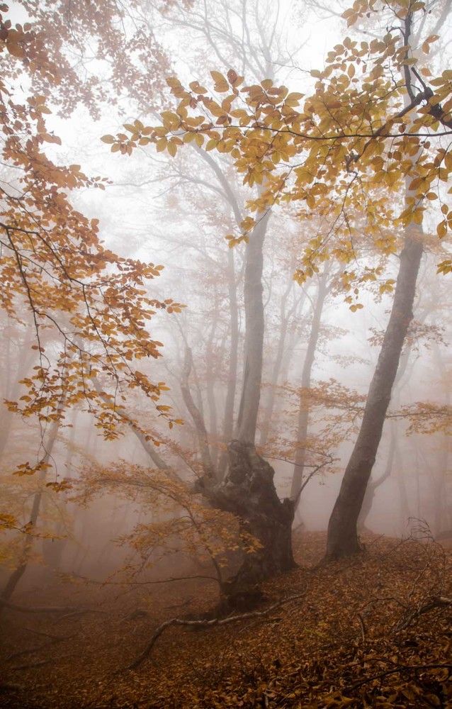 Кто не спрятался ,я не виноват.