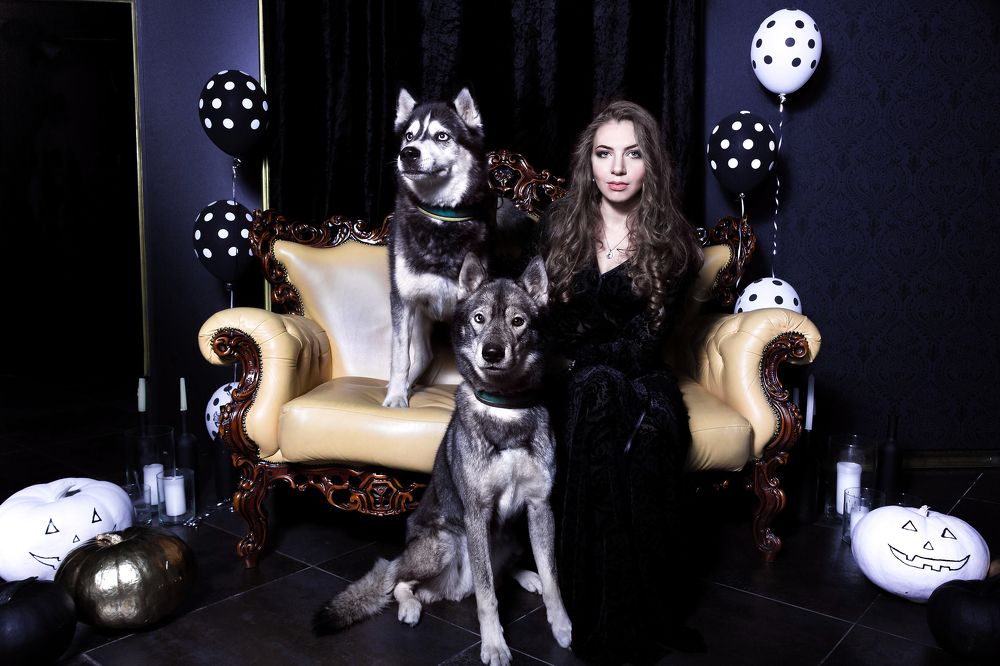 Хэллоуин с хаски