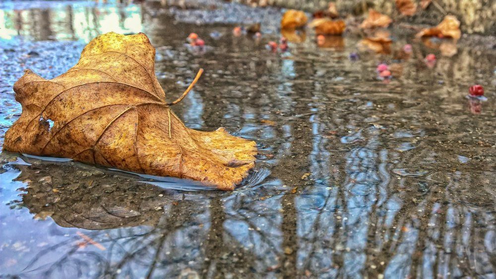 Весна у порога