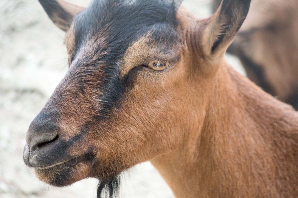 Photograph by Василь Балтаев