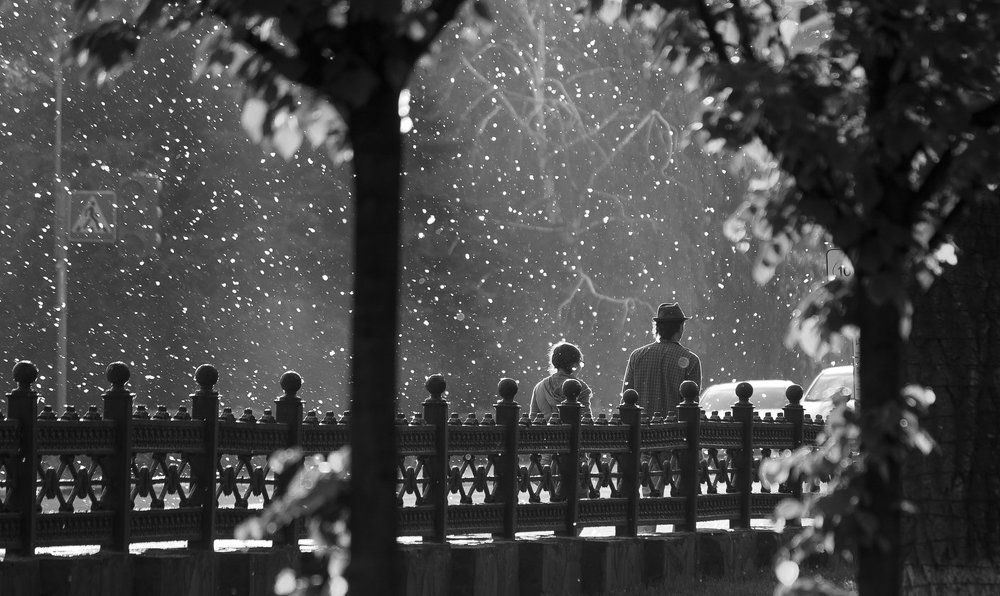 Тополиный пух