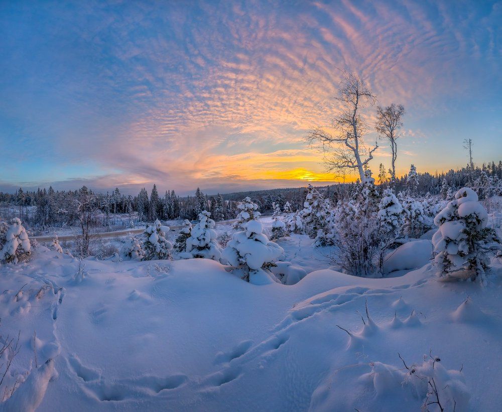Следы на снегу.