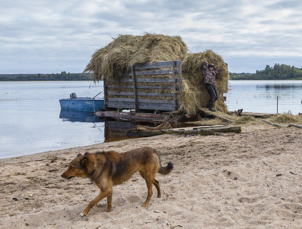 Сельские хлопоты
