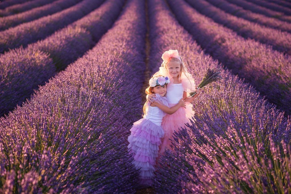 Лавандовый вечер