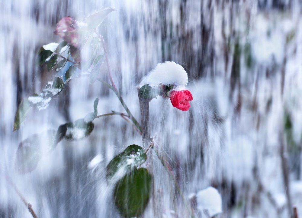 Сквозь бурю