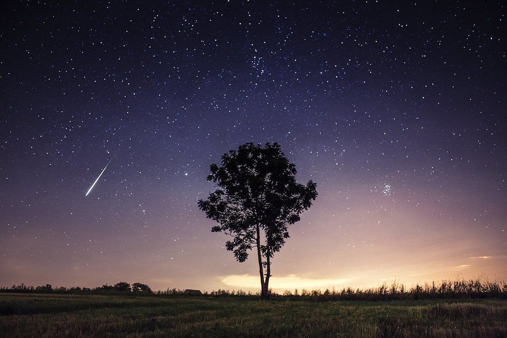 The single Perseid