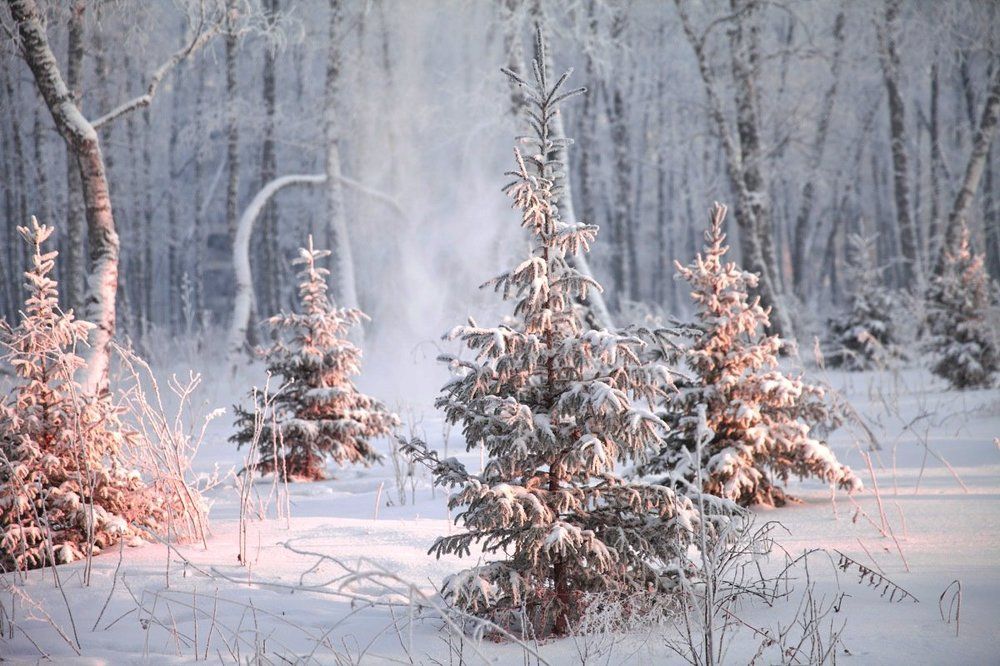 Photograph by Valery  Muzykov