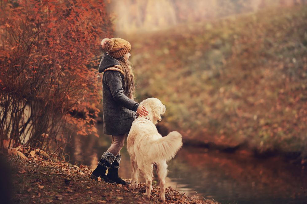 Созерцание