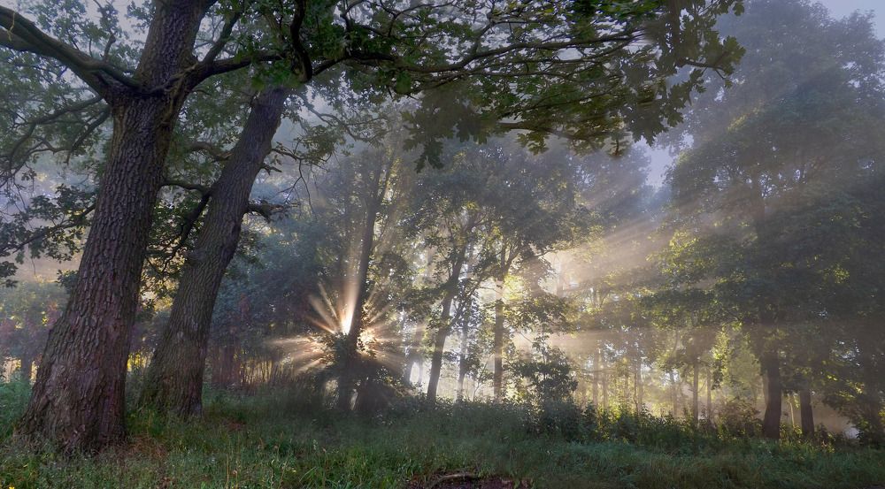 сияние жизни!)))))