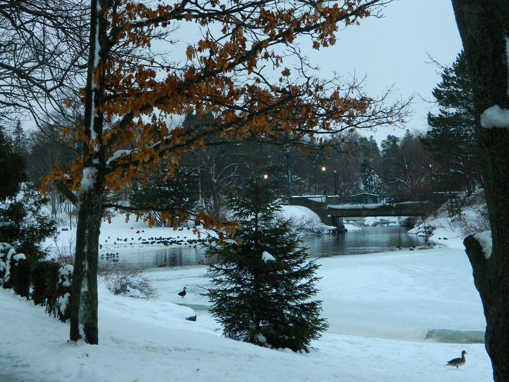 Tranquility  At The Park