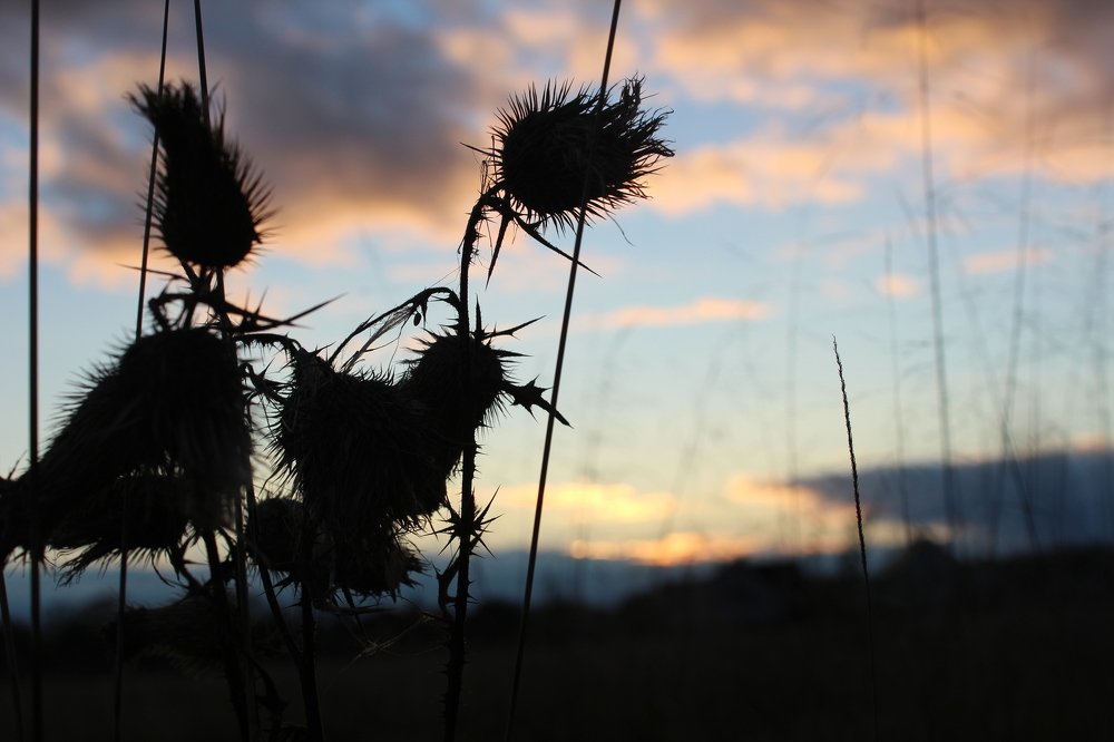 Разные взгляды