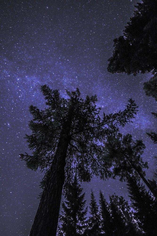 Запрокинув голову, смотреть на миллиарды звёзд