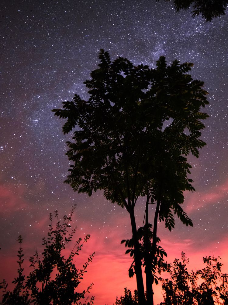 Звездная ночь