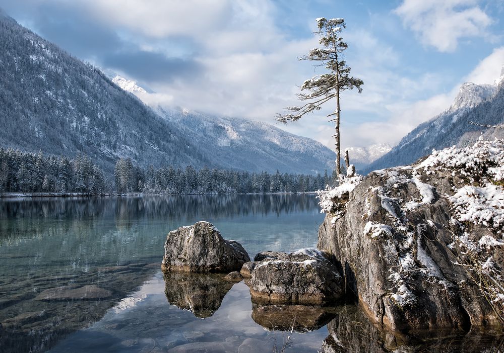 Морозное утро