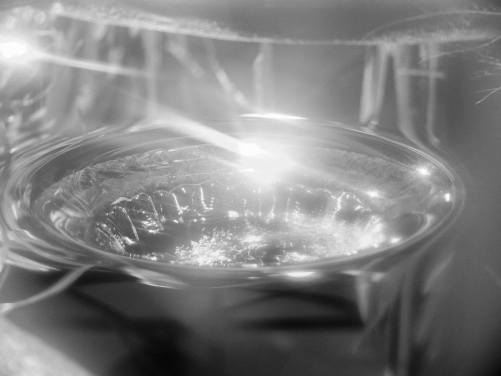 Photograph by Дарья