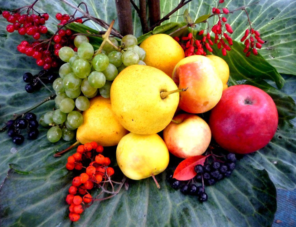ФРУКТЫ И ЯГОДЫ РУСИ