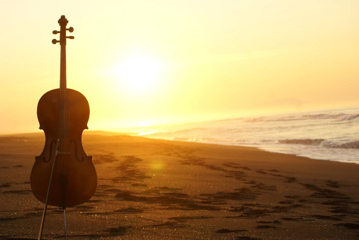 music of you soul