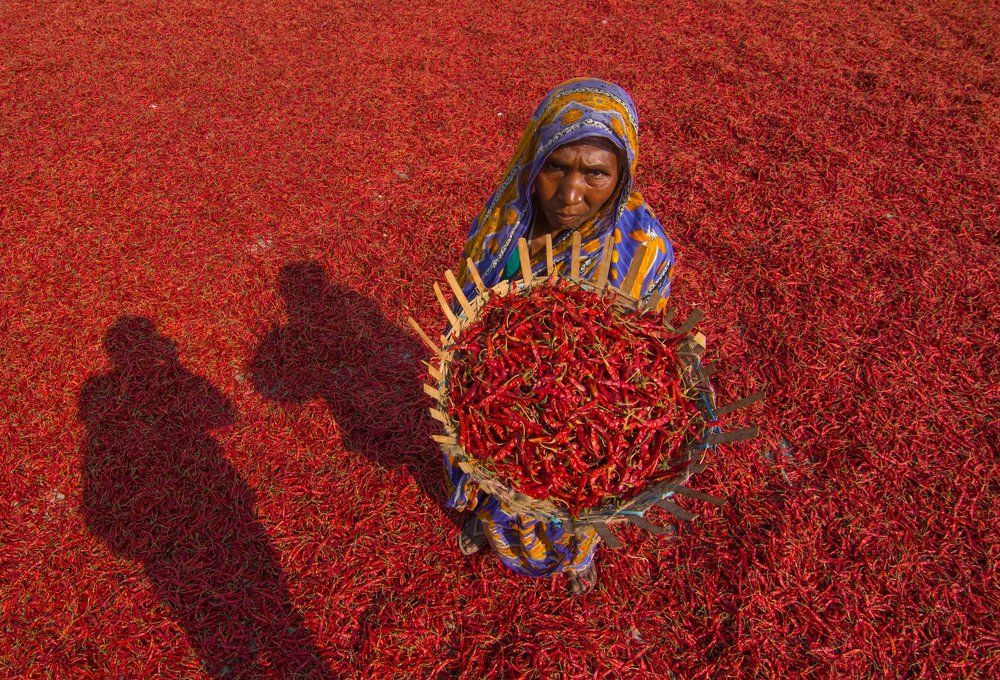 Red Chilli Women