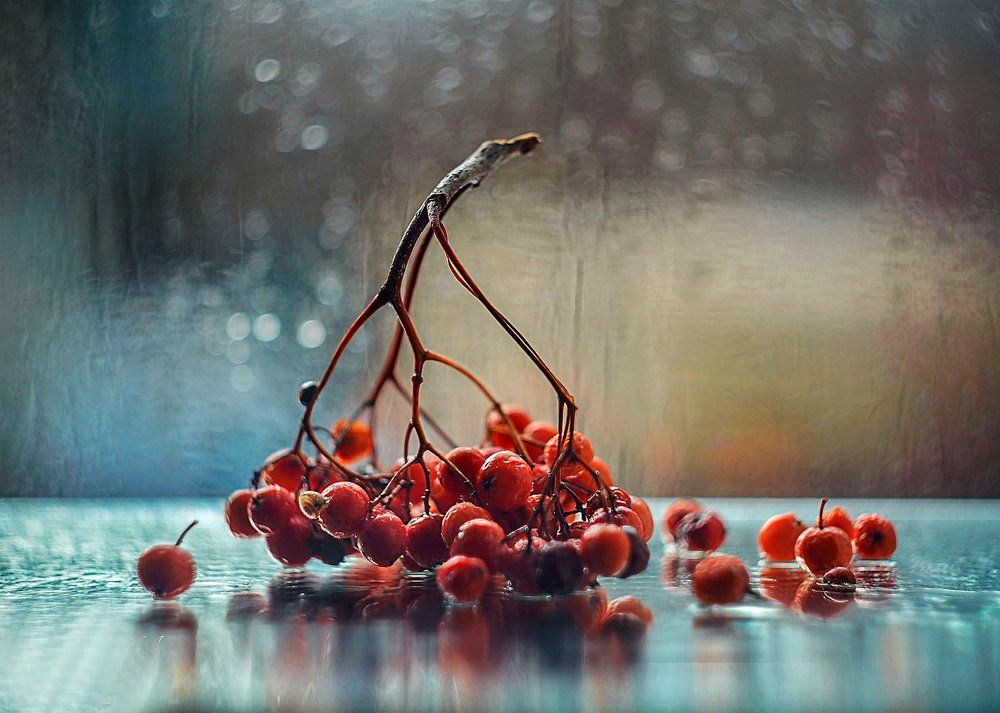 Рябиновое настроение